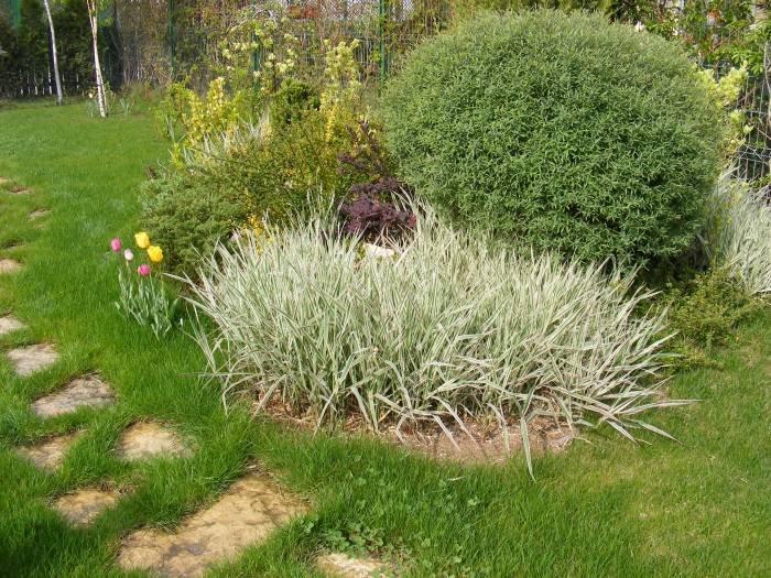 Profile Photos of Creative Garden Works B-dul Ion Mihalache - Photo 3 of 14