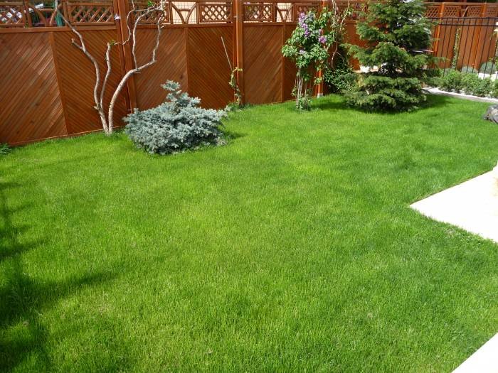  Profile Photos of Creative Garden Works B-dul Ion Mihalache - Photo 6 of 14