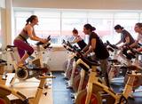 Best Indoor Bike Trainers, Tampa