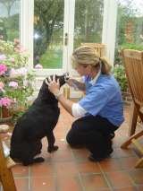         Home Vet Care - stress-free at the end of life.