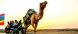 Kutch travel packages 2019<br />
 Rann Utsav Tour Packages 2019 A-305, Mondeal Heights, Near Wide Angle Cinema 