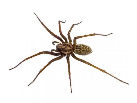  Profile Photos of Get Lost Pest Control 9032 Jordan Ln - Photo 3 of 4