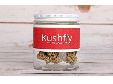  Profile Photos of Kushfly N Cahuenga Blvd - Photo 2 of 4