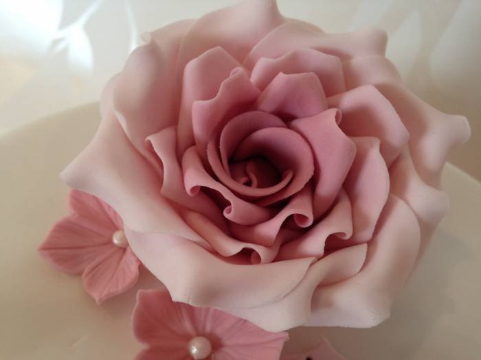 Handcrafted flowerpaste rose Profile Photos of Sally Jane Cake Design 10 Ryestone Drive - Photo 8 of 8