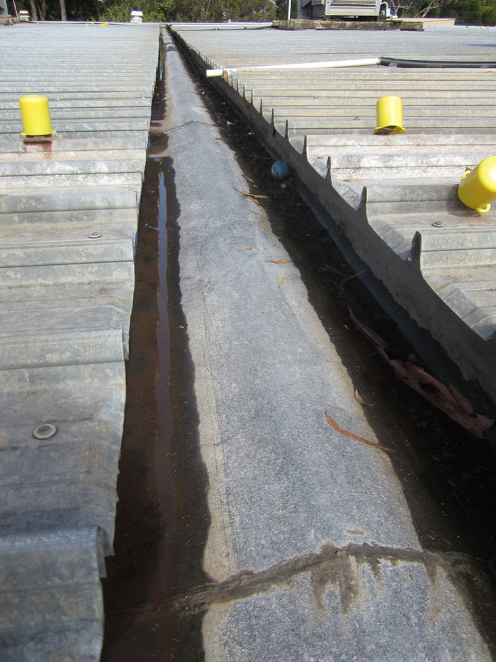  Profile Photos of All Star Asbestos Services 14A James Place - Photo 2 of 7