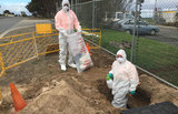  All Star Asbestos Services 14A James Place 