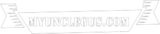 Uncle Gus Handyman Services, Austin
