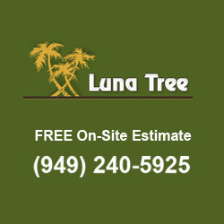  Profile Photos of Luna Tree Service 1110 El Prado - Photo 1 of 1