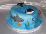  Fox In A Box Cakes 1 Wallington Road 