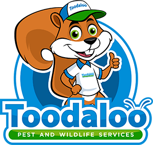  Profile Photos of Toodaloo Pest Control #275-1100 Memorial Avenue - Photo 1 of 1