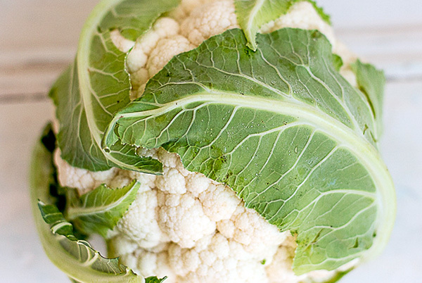  Profile Photos of Your Food Collective 6/6 Revelation Close - Photo 2 of 15