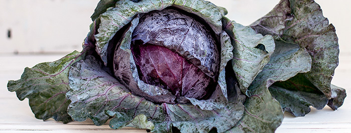  Profile Photos of Your Food Collective 6/6 Revelation Close - Photo 14 of 15