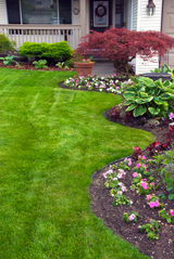 Al's Gardening Service, Daly City