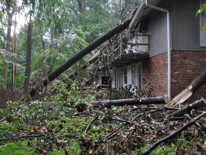  Profile Photos of Tree Service HQ 338 Evergreen Mills Rd - Photo 4 of 4