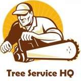 Tree Service HQ, Leesburg