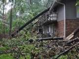 Tree Service HQ, Leesburg