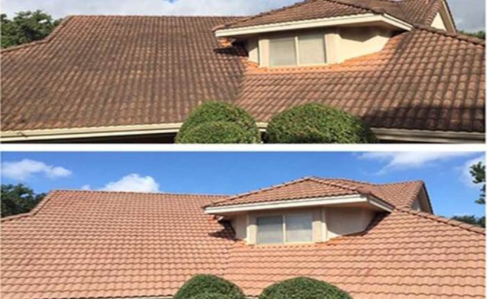  Profile Photos of MMS Roof Cleaning 2818 Scottsdale Palms Dr - Photo 1 of 1