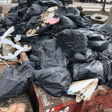 Water Damage Removal, Wantagh