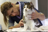  Orlando Mobile Dog Grooming Unit 535, 4530 S. Orange Blossom Trail 