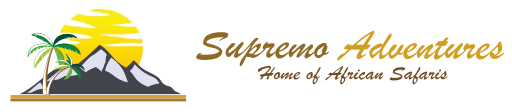  Profile Photos of Supremo Adventures College House, 4th Floor Rm  35 University Way, Nairobi - Photo 1 of 1