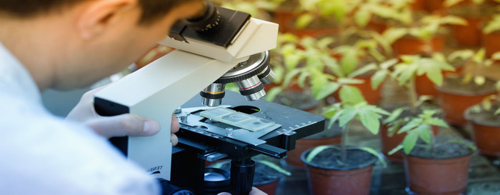 Close up of microscope in greenhouse. Biologist testing sprout's growth. Plant protection concept Profile Photos of Spectro Analytical Labs Limited E-41, Okhla Phase II, Okhla Industrial Area - Photo 33 of 46 Close up of microscope in greenhouse. Biologist testing sprout's growth. Plant protection concept Profile Photos of Spectro Analytical Labs Limited E-41, Okhla Phase II, Okhla Industrial Area - Photo 33 of 46