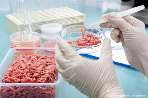  Profile Photos of Spectro Analytical Labs Limited E-41, Okhla Phase II, Okhla Industrial Area - Photo 42 of 46