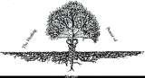 Holistic Therapies: The Healing Power of Nature, Holistic Therapies llc, Evergreen