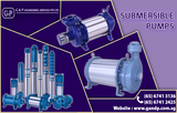 Stainless Steel Pump, Gandp Engineering Pte. Ltd., Singapore