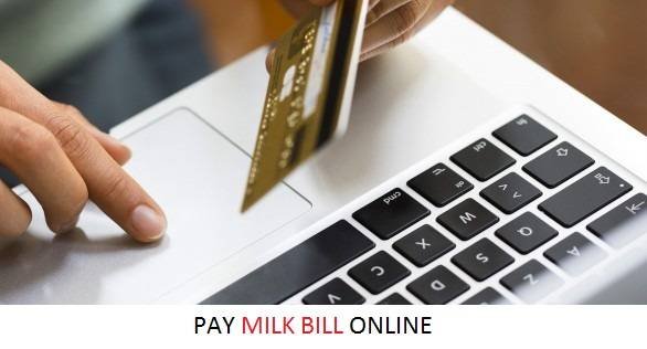 Pay Milk Bill Online Profile Photos of Easymilk Beatroot Technologies Pvt Ltd,Street no 8, Praksh Nagar, Begumpet - Photo 1 of 3