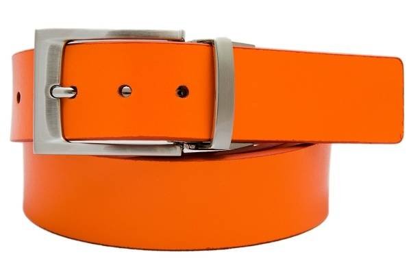  New Album of The Belt Shoppe 420 Paisley Drive - Photo 21 of 38