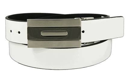  New Album of The Belt Shoppe 420 Paisley Drive - Photo 11 of 38