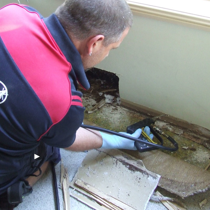  Profile Photos of Jim's Pest Control Brisbane P.O. Box 4553 - Photo 4 of 7