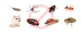 Jim's Pest Control Brisbane P.O. Box 4553 
