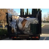 Bye Junk, San Ramon