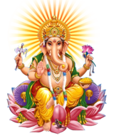 Love Marriage Specialist in India, Jalandhar