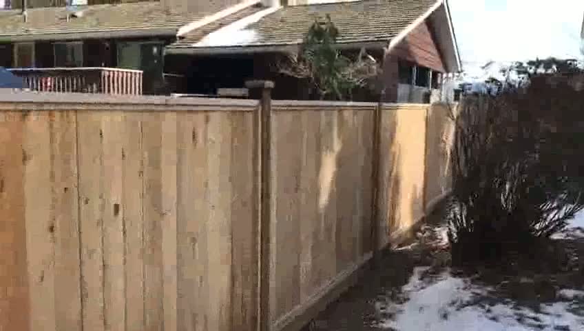 fences built.mp4