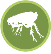  Profile Photos of Armor Pest Protection, Inc Deerfield Beach - Photo 1 of 1