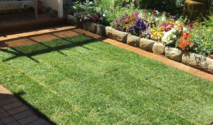  New Album of Instant Lawn Adelaide | Turf Installation Adelaide - Photo 1 of 8