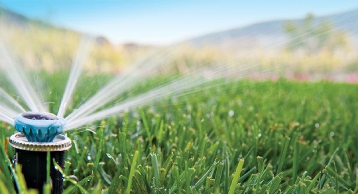  New Album of Instant Lawn Adelaide | Turf Installation Adelaide - Photo 3 of 8