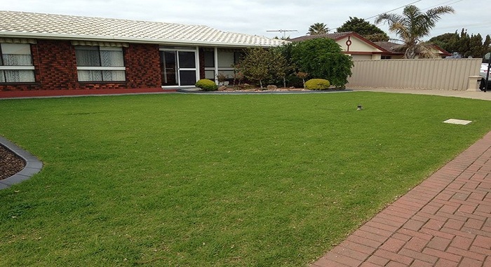  New Album of Instant Lawn Adelaide | Turf Installation Adelaide - Photo 4 of 8