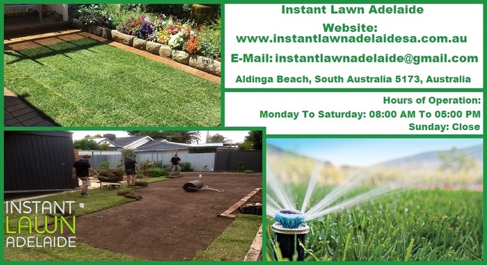  New Album of Instant Lawn Adelaide | Turf Installation Adelaide - Photo 6 of 8
