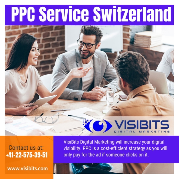 PPC Service Switzerland New Album of VISIBITS Rue Pierre-Fatio 15 - Photo 5 of 8