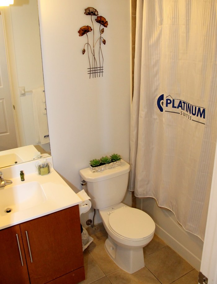  Platinum Suites Apartment of Platinum Suites - Furnished Apartments Mississauga 310 Burnhamthorpe Rd W - Photo 21 of 22