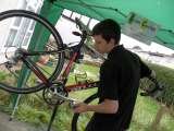 Icon Cycles, Loughton