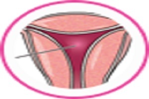  New Album of OBGYN NYC- Anat Zelmanovich, MD. Serving - Photo 1 of 6
