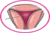  OBGYN NYC- Anat Zelmanovich, MD. Serving 