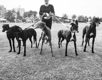 Profile Photos of St. Roch Dog Walking & Lifestyle 59 Clyde St - Photo 1 of 1
