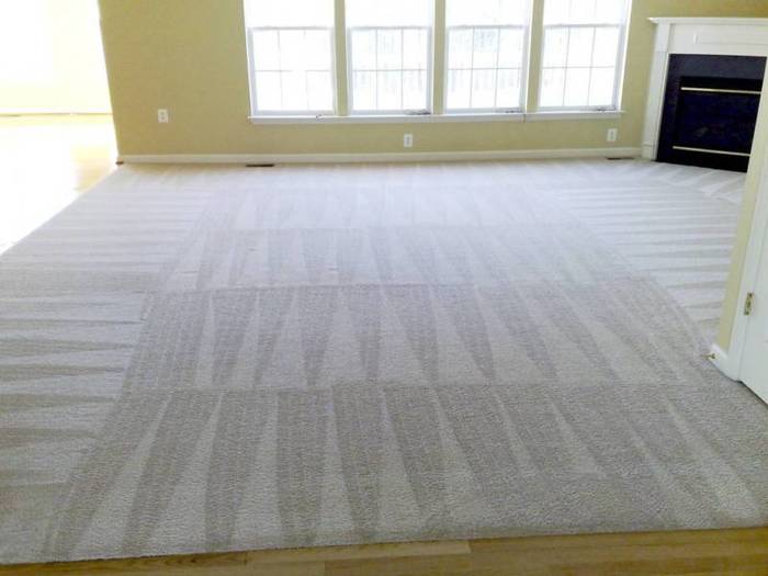  New Album of Sparkling Carpet Cleaning Brisbane Queen St - Photo 3 of 10