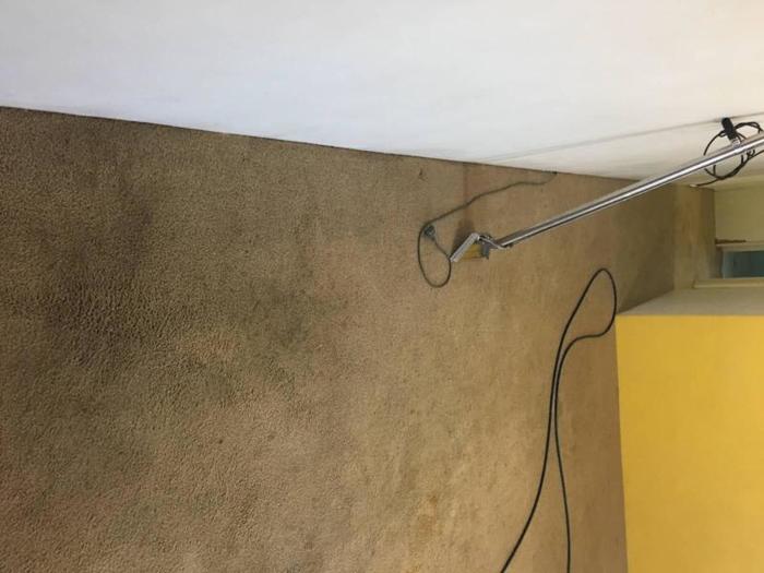  New Album of Sparkling Carpet Cleaning Brisbane Queen St - Photo 7 of 10