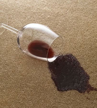  New Album of Sparkling Carpet Cleaning Brisbane Queen St - Photo 8 of 10